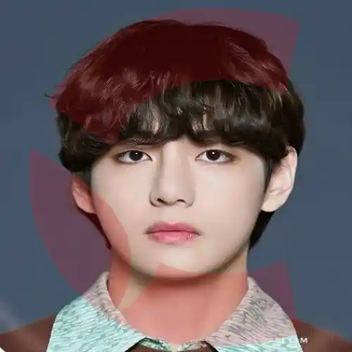 Kim Taehyung (V)