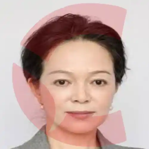 Zheng Jing